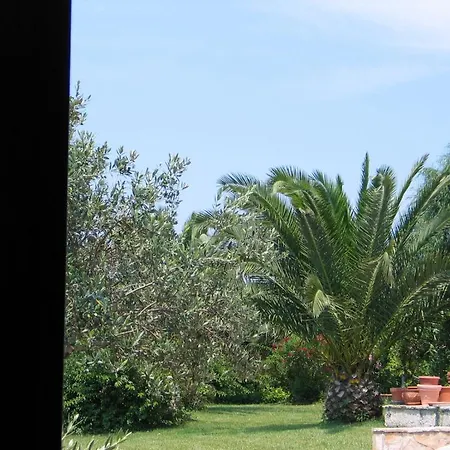 Agriturismo Il Venticello