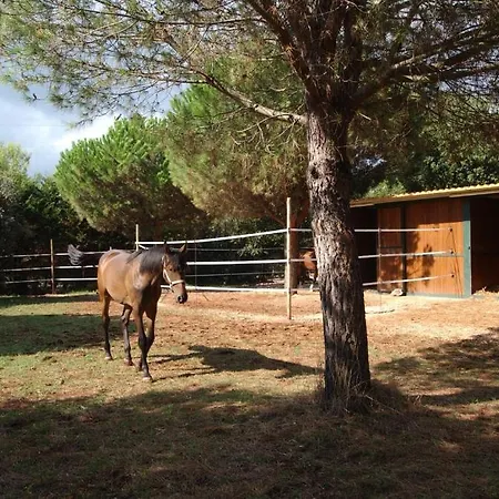 Farm stay Agriturismo Il Venticello