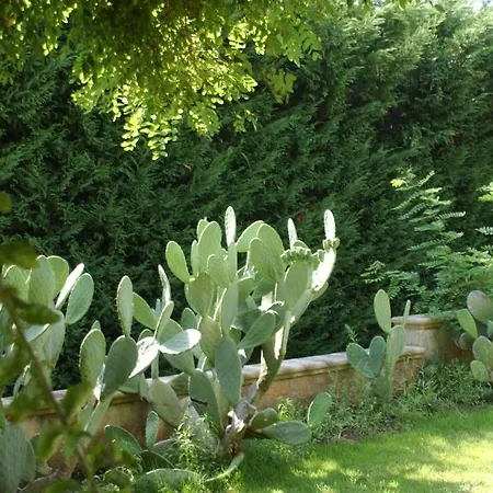 Agriturismo Il Venticello Farm stay *