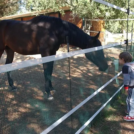 Agroturismo Il Venticello